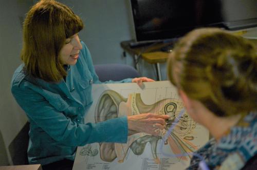Dr. Gordon-Salant with ear diagram